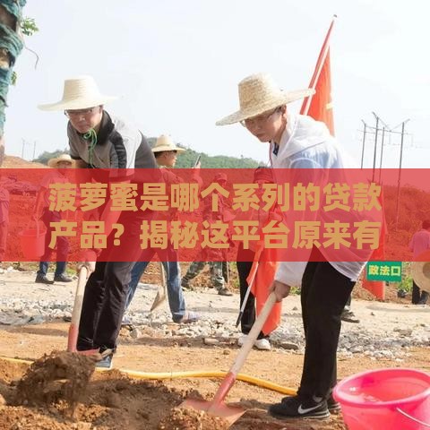 菠萝蜜是哪个系列的贷款产品？揭秘这平台原来有这些门道！