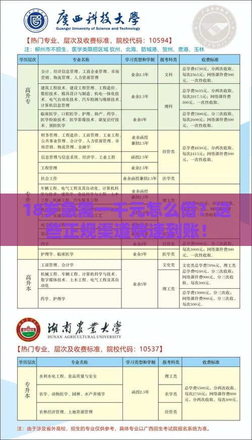 18岁急需一千元怎么借？这些正规渠道快速到账！