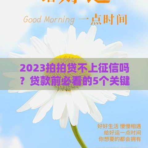 2023拍拍贷不上征信吗？贷款前必看的5个关键点！
