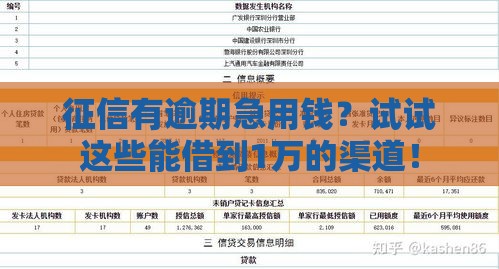 征信有逾期急用钱？试试这些能借到1万的渠道！