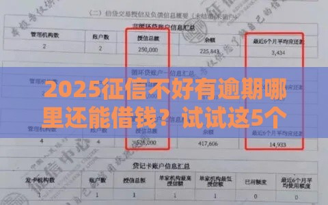 2025征信不好有逾期哪里还能借钱？试试这5个靠谱渠道！