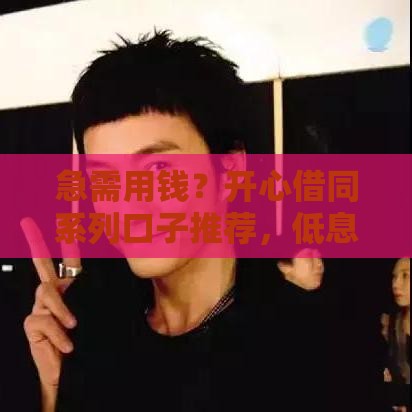 急需用钱？开心借同系列口子推荐，低息靠谱速到账！