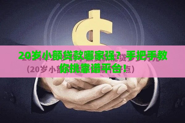 20岁小额贷款哪家强？手把手教你挑靠谱平台！