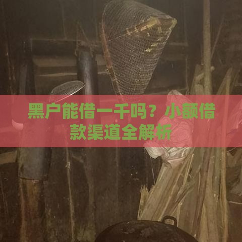 黑户能借一千吗？小额借款渠道全解析