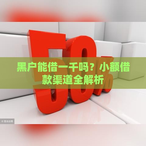 黑户能借一千吗？小额借款渠道全解析