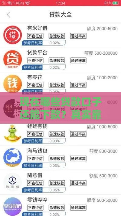 现在哪些贷款口子还能下款？真实靠谱渠道最新盘点