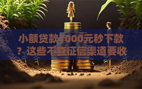 小额贷款1000元秒下款？这些不查征信渠道要收藏