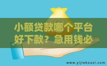 小额贷款哪个平台好下款？急用钱必看的5个靠谱推荐！