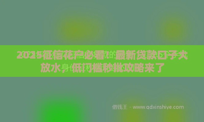 2025征信花户必看！最新贷款口子大放水，低门槛秒批攻略来了