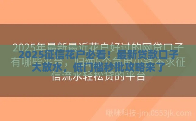 2025征信花户必看！最新贷款口子大放水，低门槛秒批攻略来了