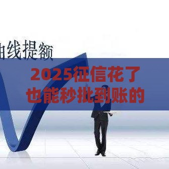 2025征信花了也能秒批到账的口子推荐