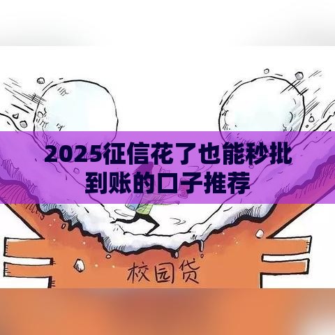 2025征信花了也能秒批到账的口子推荐