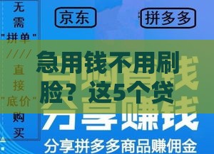 急用钱不用刷脸？这5个贷款口子超靠谱，快速到账！