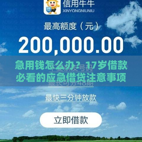 急用钱怎么办？17岁借款必看的应急借贷注意事项