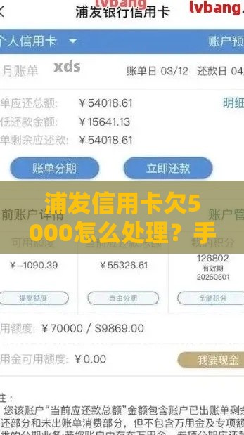 浦发信用卡欠5000怎么处理？手把手教你协商技巧