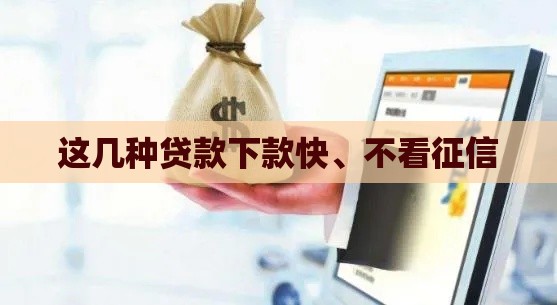 这几种贷款下款快、不看征信