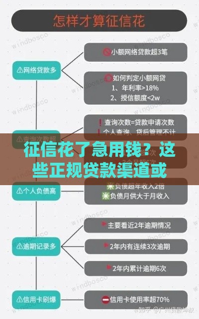 征信花了急用钱？这些正规贷款渠道或许能帮到你