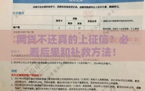 网贷不还真的上征信？必看后果和补救方法！
