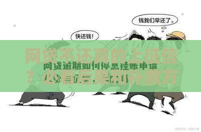 网贷不还真的上征信？必看后果和补救方法！