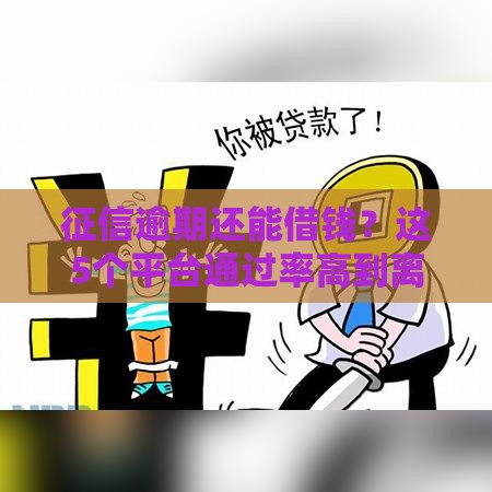 征信逾期还能借钱？这5个平台通过率高到离谱！