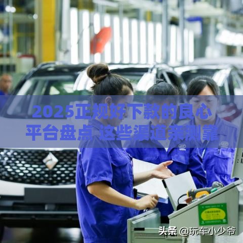 2025正规好下款的良心平台盘点 这些渠道亲测靠谱