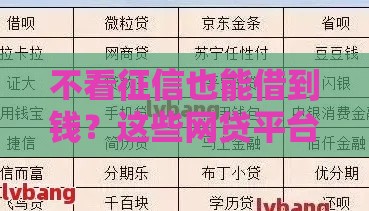 不看征信也能借到钱？这些网贷平台或许能帮你应急！