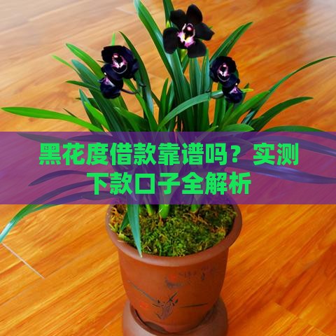 黑花度借款靠谱吗？实测下款口子全解析