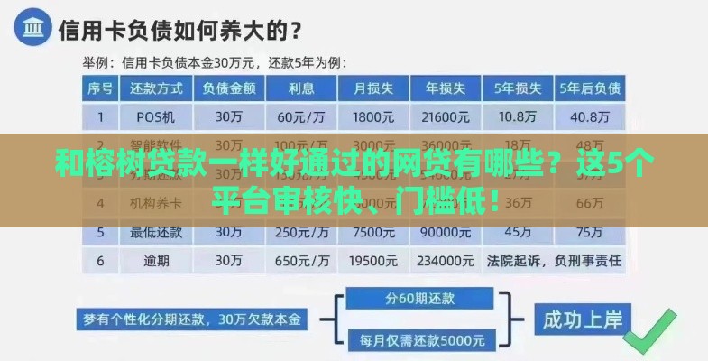 和榕树贷款一样好通过的网贷有哪些？这5个平台审核快、门槛低！