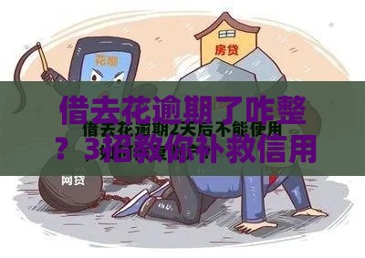 借去花逾期了咋整？3招教你补救信用还不影响贷款