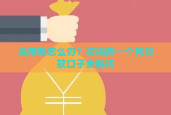 急用钱怎么办？按揭房一个月贷款口子全解析