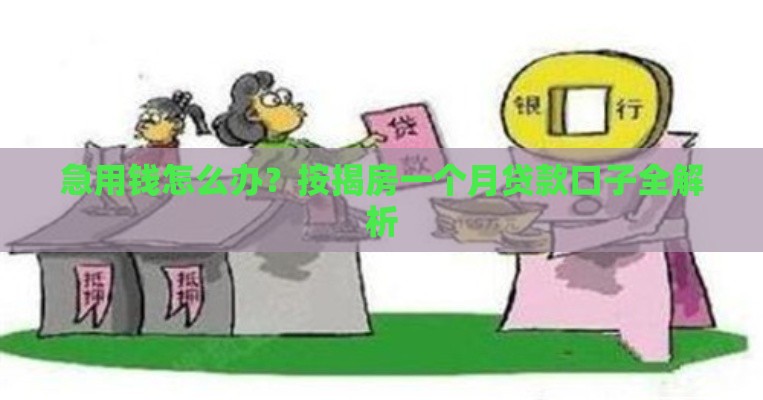 急用钱怎么办？按揭房一个月贷款口子全解析