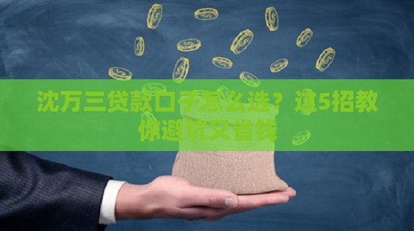 沈万三贷款口子怎么选？这5招教你避坑又省钱