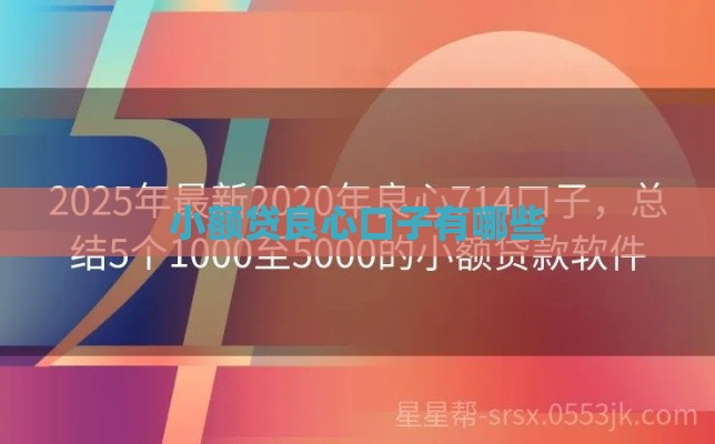 小额贷良心口子有哪些