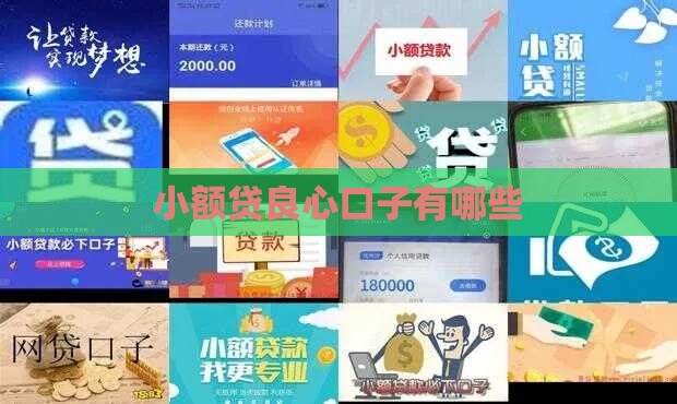 小额贷良心口子有哪些