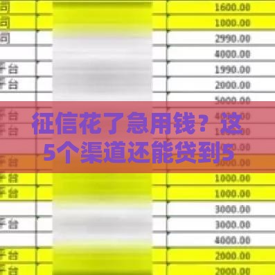 征信花了急用钱？这5个渠道还能贷到5000元