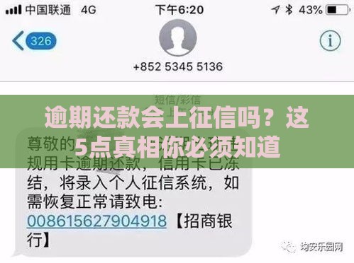逾期还款会上征信吗？这5点真相你必须知道