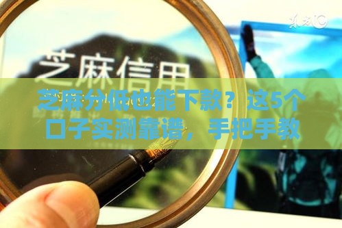 芝麻分低也能下款？这5个口子实测靠谱，手把手教你选！