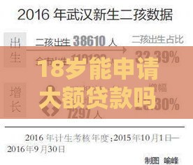 18岁能申请大额贷款吗？真实案例教你如何避坑