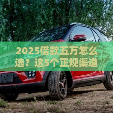 2025借款五万怎么选？这5个正规渠道必须收藏！