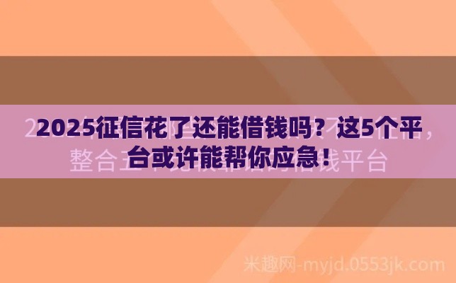 2025征信花了还能借钱吗？这5个平台或许能帮你应急！