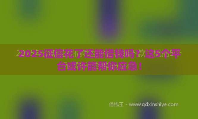 2025征信花了还能借钱吗？这5个平台或许能帮你应急！