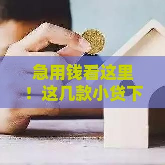 急用钱看这里！这几款小贷下款快、门槛低