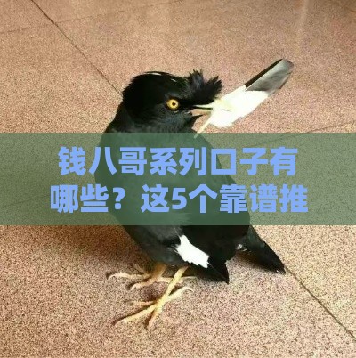 钱八哥系列口子有哪些？这5个靠谱推荐必须收藏！