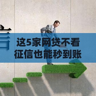 这5家网贷不看征信也能秒到账