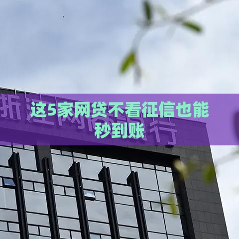 这5家网贷不看征信也能秒到账