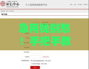 急用钱别愁！手把手教你选对正规借款平台