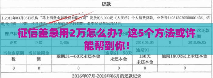征信差急用2万怎么办？这5个方法或许能帮到你！