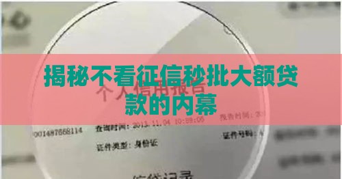 揭秘不看征信秒批大额贷款的内幕