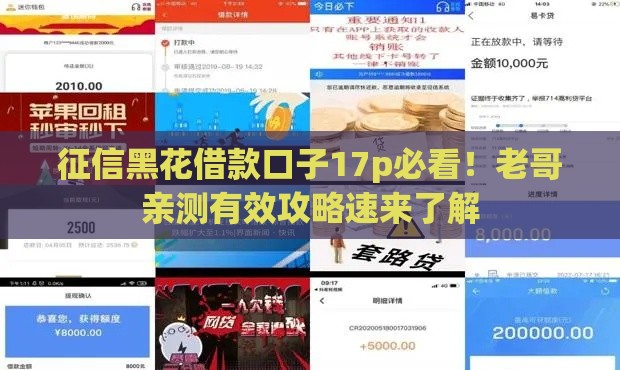 征信黑花借款口子17p必看！老哥亲测有效攻略速来了解