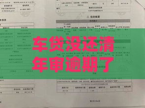 车贷没还清年审逾期了？原来这些贷款细节要注意！